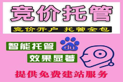 SEM推广实战：案例分析与优化